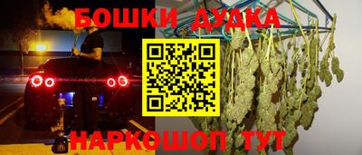 гидра Новодвинск