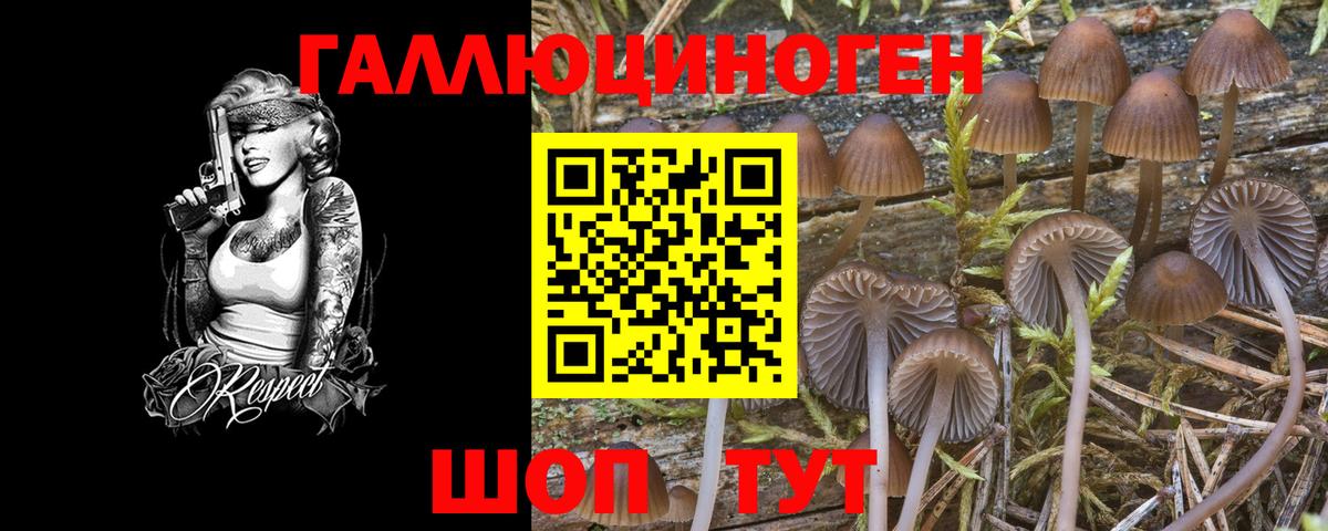 Галлюциногенные грибы прущие грибы Сызрань