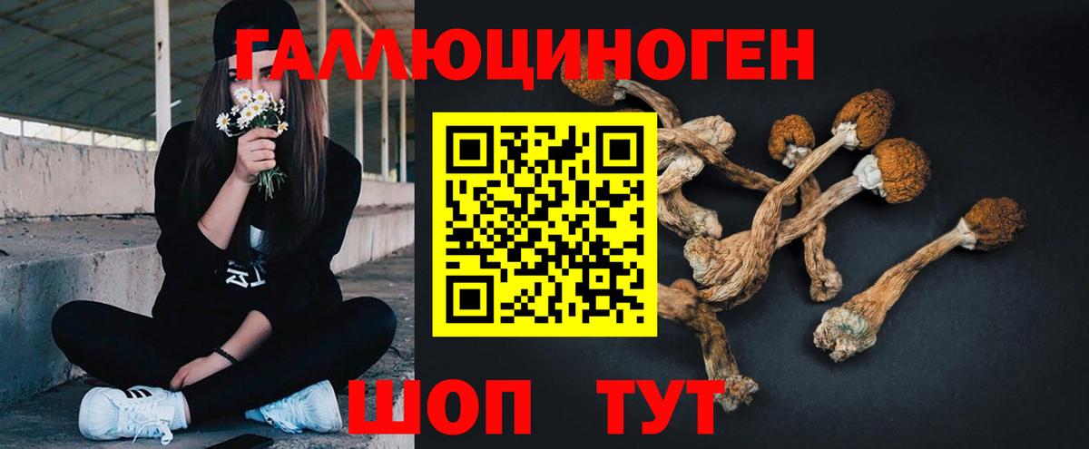 купить наркотик  Галлюциногенные грибы GOLDEN TEACHER  Вход с VPN  Псилоцибиновые грибы прущие грибы  Сызрань 